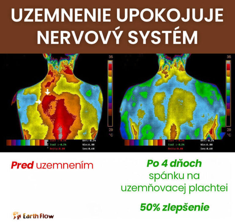 Zmanjša-SK-800x758 (1)